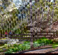 Armadale - Lightning Ridge Tourism