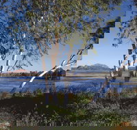 Bandicoot Bar - Lightning Ridge Tourism