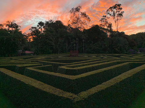 Bellingham Maze - Lightning Ridge Tourism 0