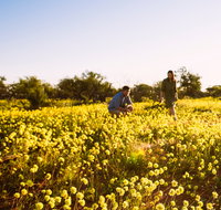 Best of the Coral Coast - Lightning Ridge Tourism