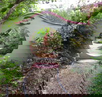 Black Dragon Gardens Wulong Yuan - Lightning Ridge Tourism
