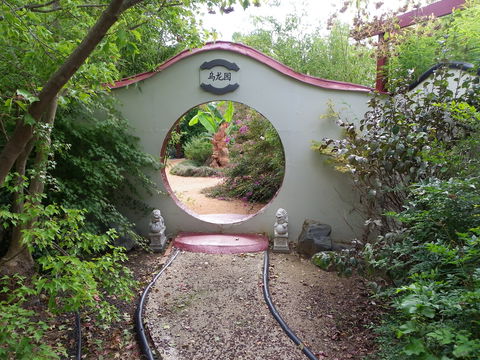 Black Dragon Gardens Wulong Yuan - Lightning Ridge Tourism 0