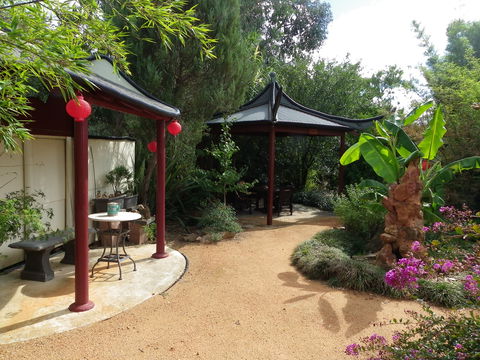 Black Dragon Gardens Wulong Yuan - Lightning Ridge Tourism 1
