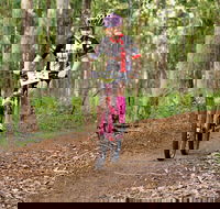 Bom Bom State Forest Mountain Bike Trails - Lightning Ridge Tourism