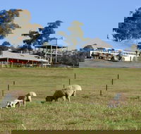 Calmsley Hill City Farm - Lightning Ridge Tourism