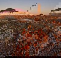 Cape Willoughby Heritage Trail - Lightning Ridge Tourism