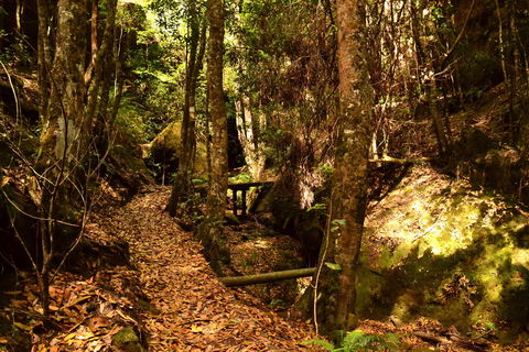 Cave Creek Walking Track - Lightning Ridge Tourism 2