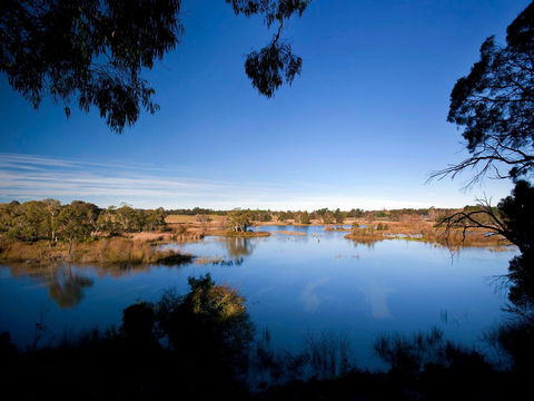 Cecil Hoskins Nature Reserve - Lightning Ridge Tourism 0