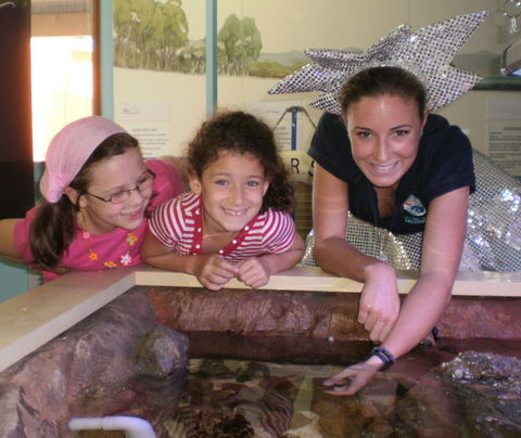 Central Coast Marine Discovery Centre - Lightning Ridge Tourism 0