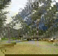 Chaelundi National Park - Lightning Ridge Tourism