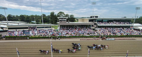 Club Menangle - Lightning Ridge Tourism 1