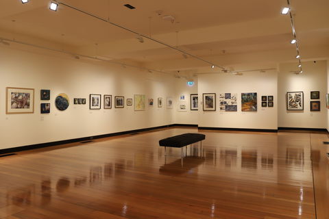 Devonport Regional Gallery - Lightning Ridge Tourism 1