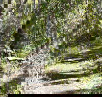 Euglah Rock Walking Track - Lightning Ridge Tourism