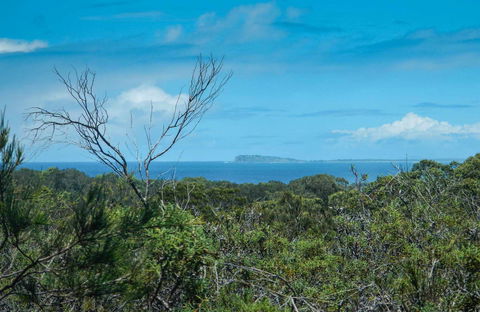 Forest Walking Track, Crowdy Bay National Park - Lightning Ridge Tourism 0