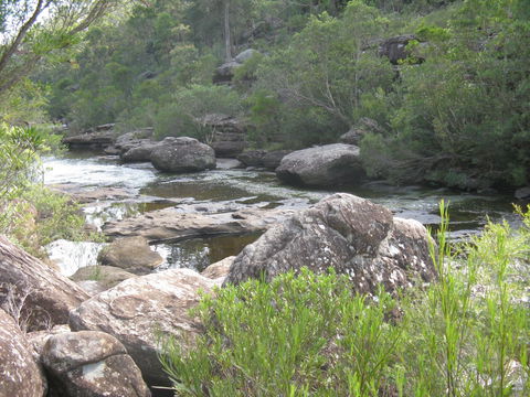 Georges River Nature Reserve - Lightning Ridge Tourism 1