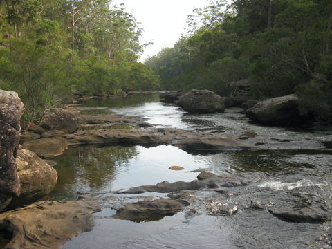 Georges River Nature Reserve - Lightning Ridge Tourism 2
