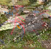 Grong Grong - Lightning Ridge Tourism