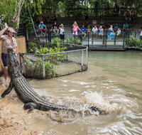 Hartley's Crocodile Adventures - Lightning Ridge Tourism