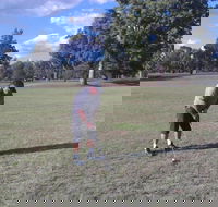 Inverell Golf Club - Lightning Ridge Tourism