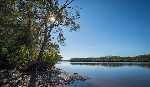 Karuah River National Park And Nature Reserve - Lightning Ridge Tourism 0