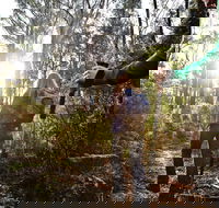 Kinglake National Park - Lightning Ridge Tourism