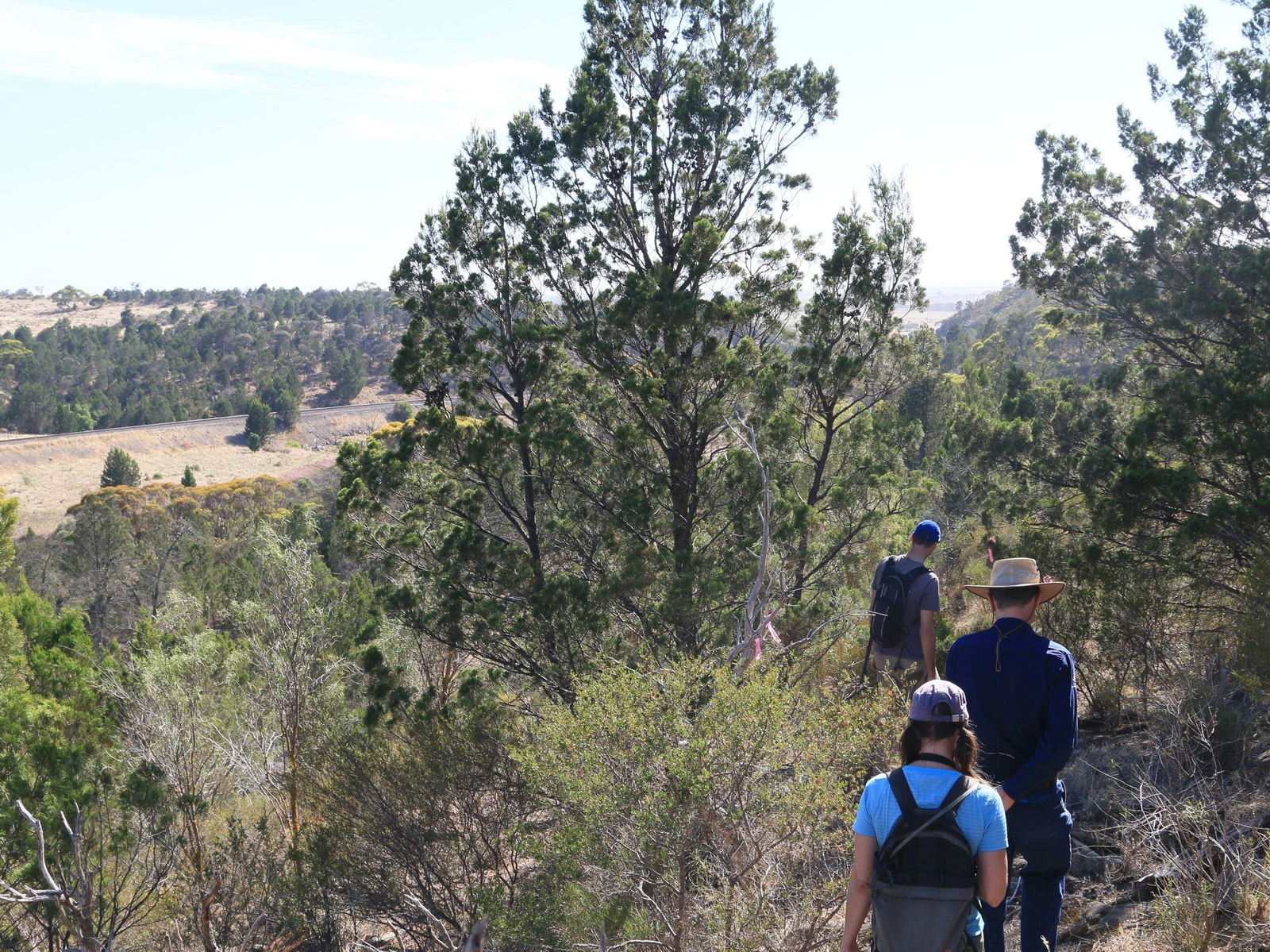 Rocky Gully SA Lightning Ridge Tourism