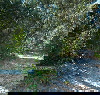 Lillypilly loop trail - Lightning Ridge Tourism