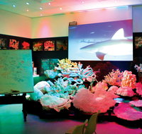 Marine Discovery Centre Hastings Point - Lightning Ridge Tourism