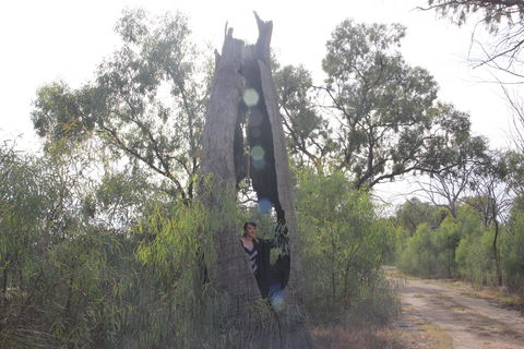 Martin Bend Wetland And Walking Trail - Lightning Ridge Tourism 1