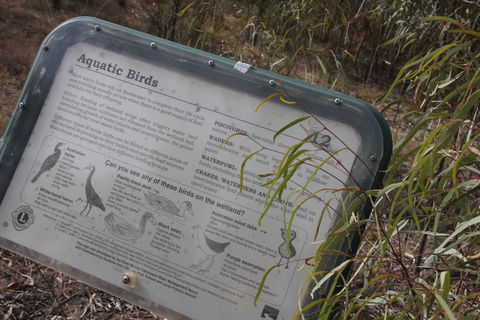 Martin Bend Wetland And Walking Trail - Lightning Ridge Tourism 2