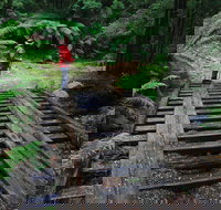 Montezuma Falls - Lightning Ridge Tourism