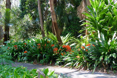 North Coast Regional Botanic Garden - Lightning Ridge Tourism 1