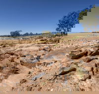 Peery Lake picnic area - Lightning Ridge Tourism