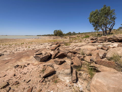 Peery Lake Picnic Area - Lightning Ridge Tourism 0