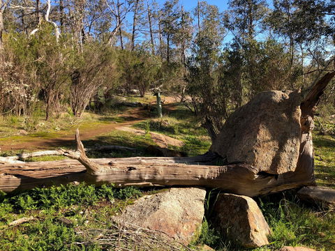Pine Gully Nature Trail - Lightning Ridge Tourism 1
