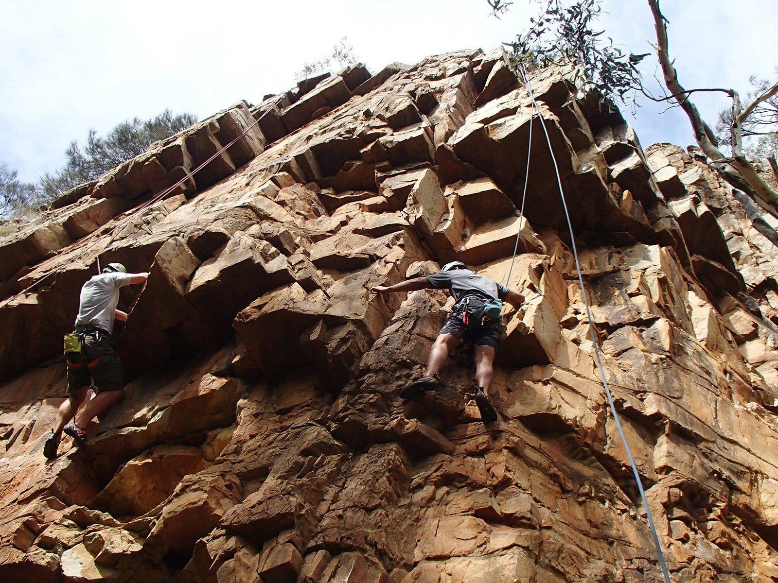 Woodforde SA Lightning Ridge Tourism