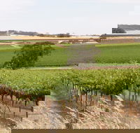 Smidge Wines Tasting Room - Lightning Ridge Tourism