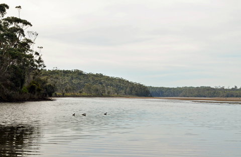 Tabourie Lake - Lightning Ridge Tourism 0
