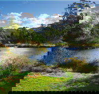 Tasmanian Arboretum Inc. - The - Lightning Ridge Tourism