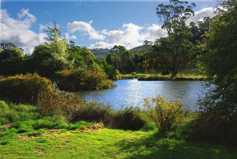Tasmanian Arboretum Inc. - The - Lightning Ridge Tourism 0