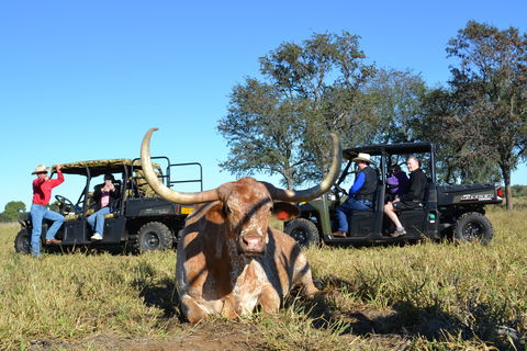 Texas Longhorn Tours - Lightning Ridge Tourism 1