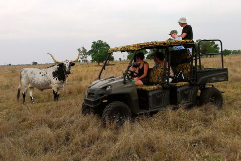 Texas Longhorn Tours - Lightning Ridge Tourism 2
