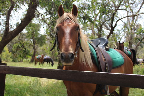 The Ranch - Lightning Ridge Tourism 2