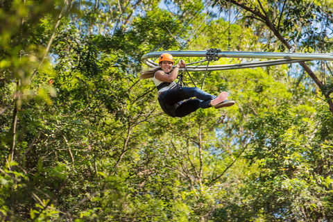 TreeTop Crazy Rider - Lightning Ridge Tourism 0
