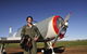 Warbird Aerial Adventures - thumb 1