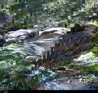 Washpools waterhole - Lightning Ridge Tourism