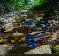 Willi Willi National Park - Lightning Ridge Tourism
