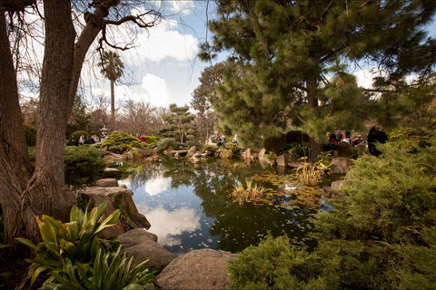 Adelaide Himeji Garden - Lightning Ridge Tourism 1