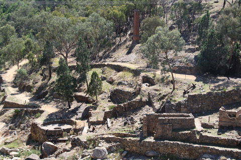 Adelong Falls Gold Mill Ruins - Lightning Ridge Tourism 0