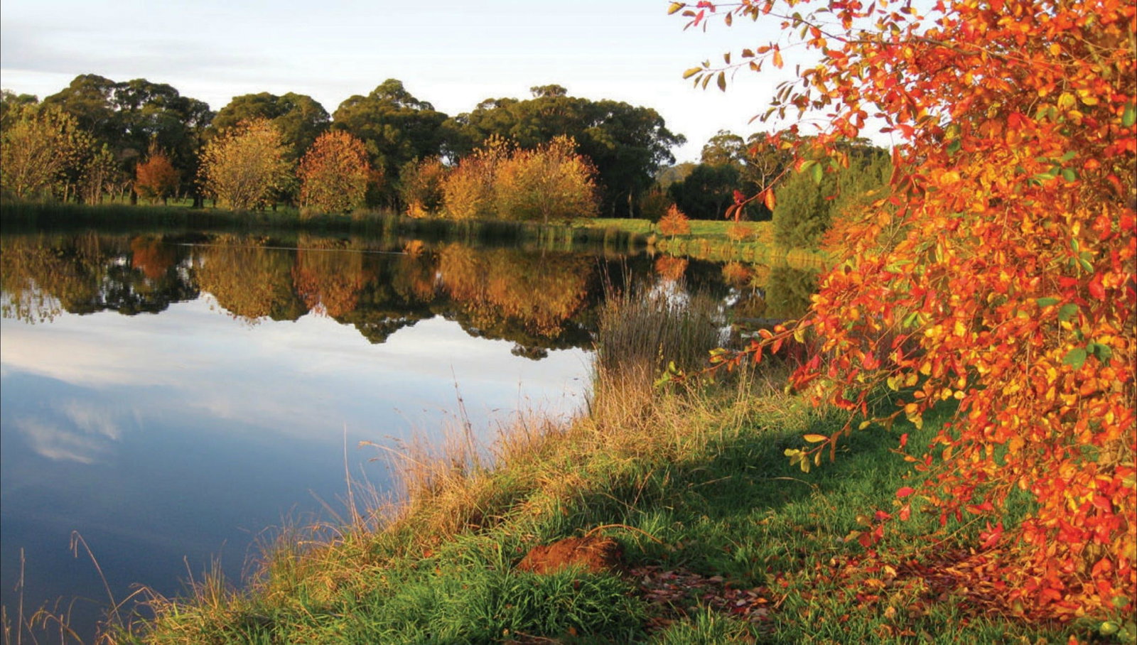 Alpine NSW Lightning Ridge Tourism